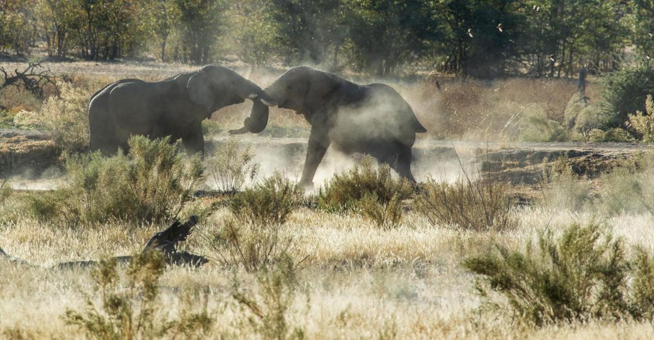 Hobatere lodge Otjovasandu Eksteriør billede