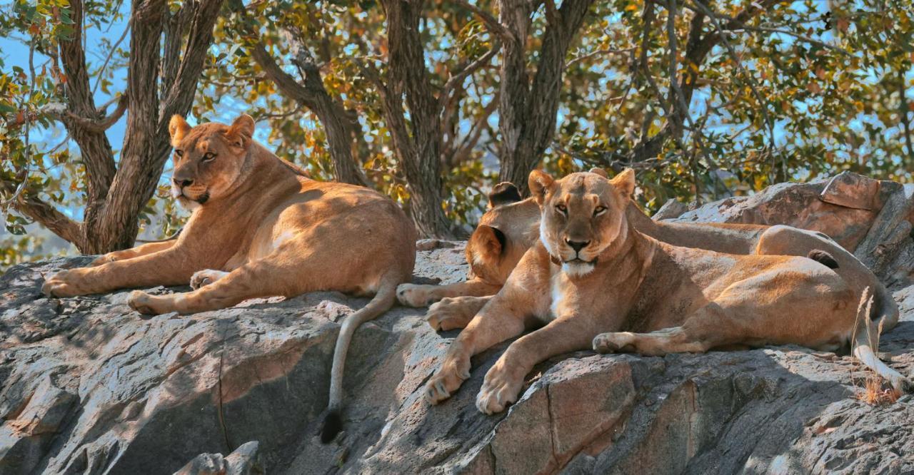 Hobatere lodge Otjovasandu Eksteriør billede