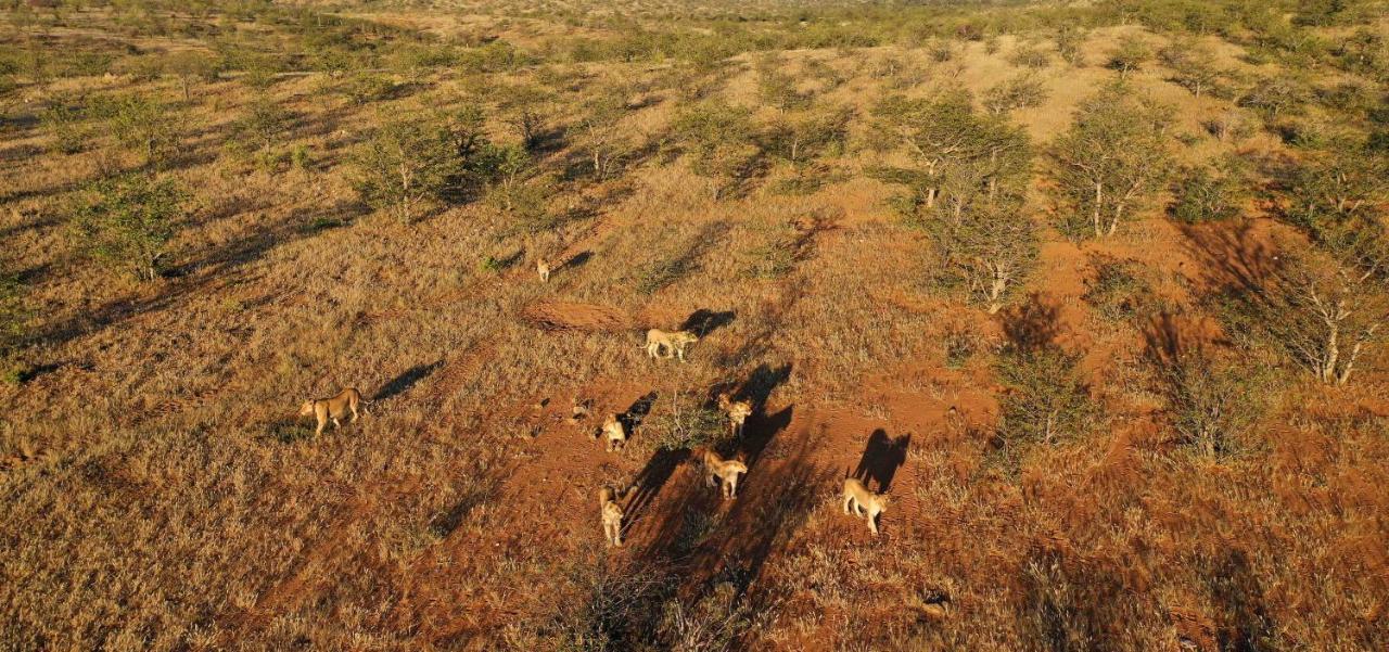 Hobatere lodge Otjovasandu Eksteriør billede